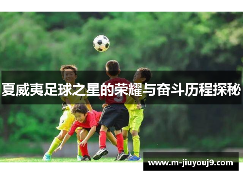 夏威夷足球之星的荣耀与奋斗历程探秘